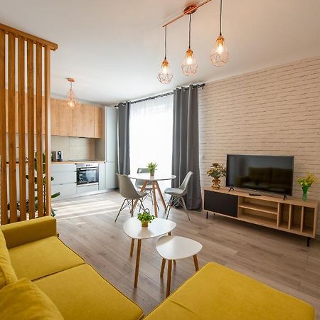 Târgu-Mureş Art Apartment מראה חיצוני תמונה