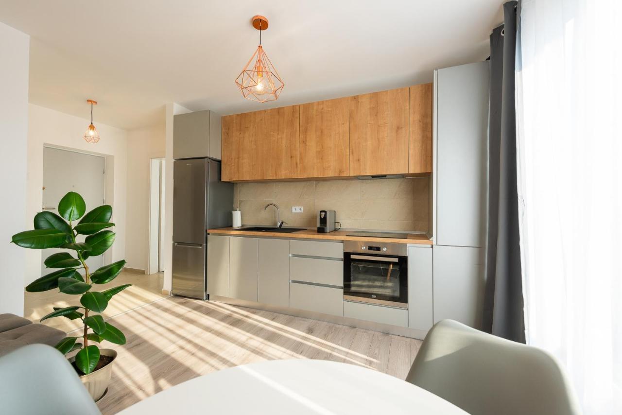 Târgu-Mureş Art Apartment מראה חיצוני תמונה